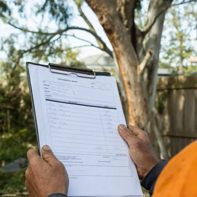 Reading a written tree removal quote on site in Gold Coast