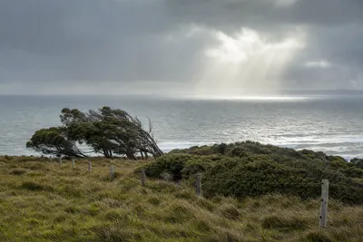 Cyclone and storm exposure, Gold Coast