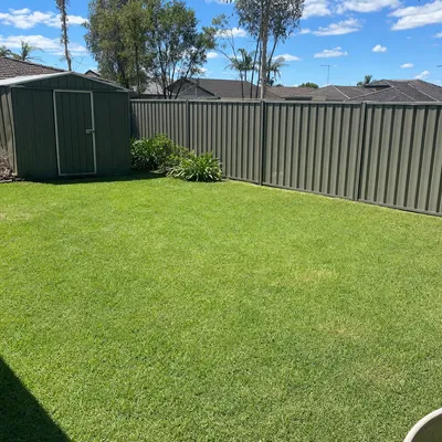 After: Ex-cyclone cleanup, fallen paperbark, Gold Coast