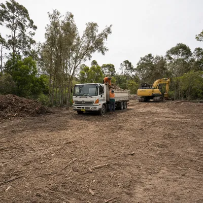 Land Clearing job in Gold Coast by qualified local arborists