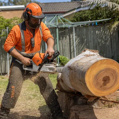 Tree Removal services in Gold Coast by local qualified arborists