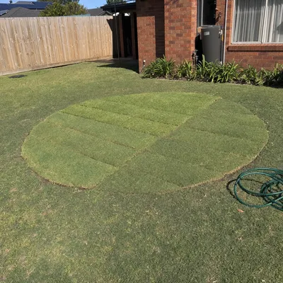 Stump ground 150–300mm below grade, Gold Coast